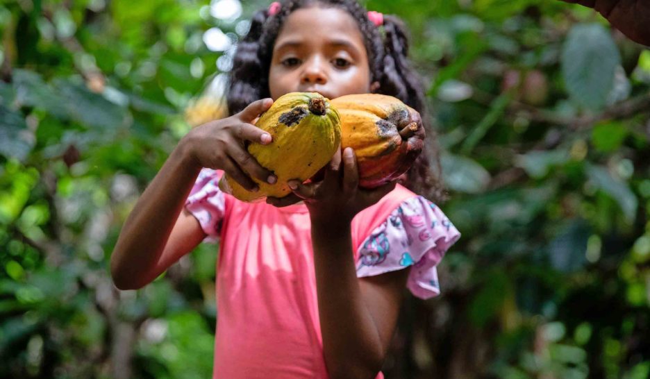 Chocolat au goût amer