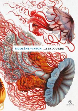 De la mort d’un coquillage