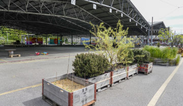 Pas de food trucks aux Halles des TPG