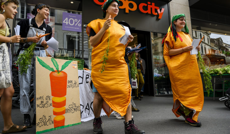 Des carottes en colère