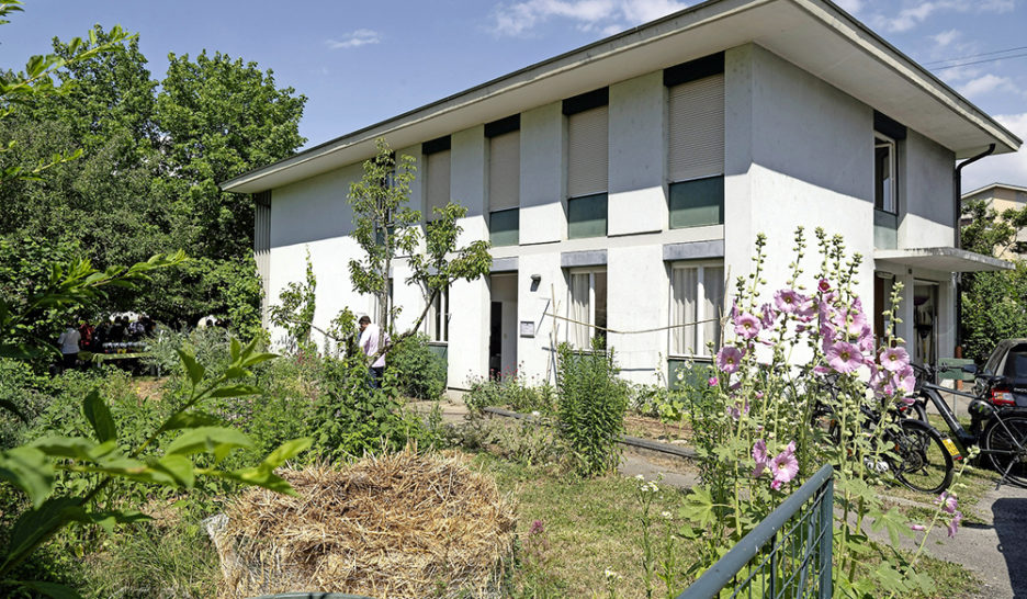 Une «Maison des Lionnes» novatrice 1