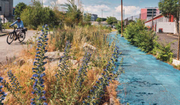 Nature dans le PAV: atout ou atours?