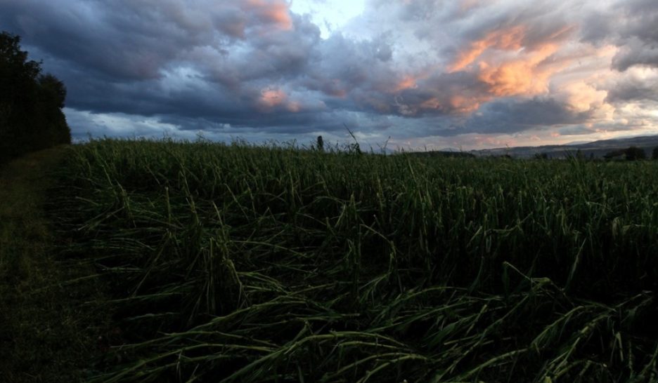 Violents orages annoncés, courses d’écoles annulées
