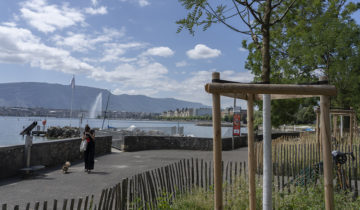 Planter des arbres, défi pour l’avenir