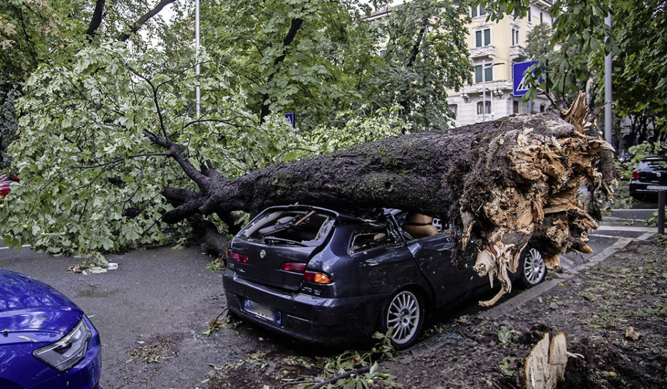 De Charybde en Scylla