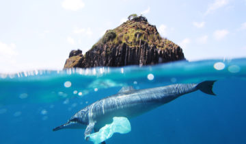 Le raz-de-marée des microplastiques