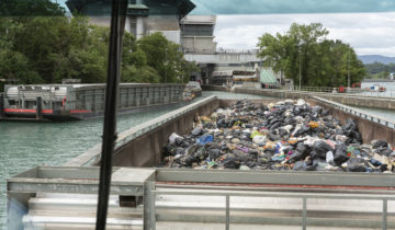 Ces détritus qui se la coulent douce