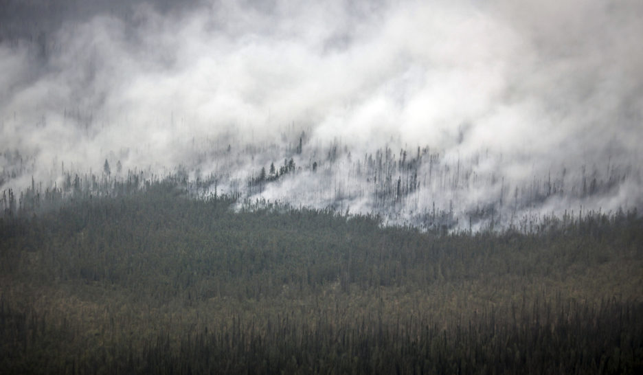 Les incendies dévastent le Grand Nord