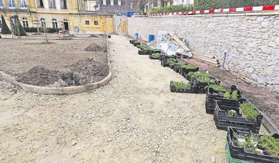 «Jardins nourriciers» en jachère