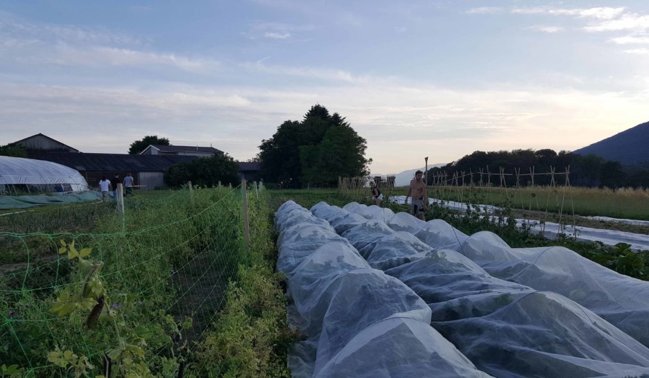 La défense s’organise