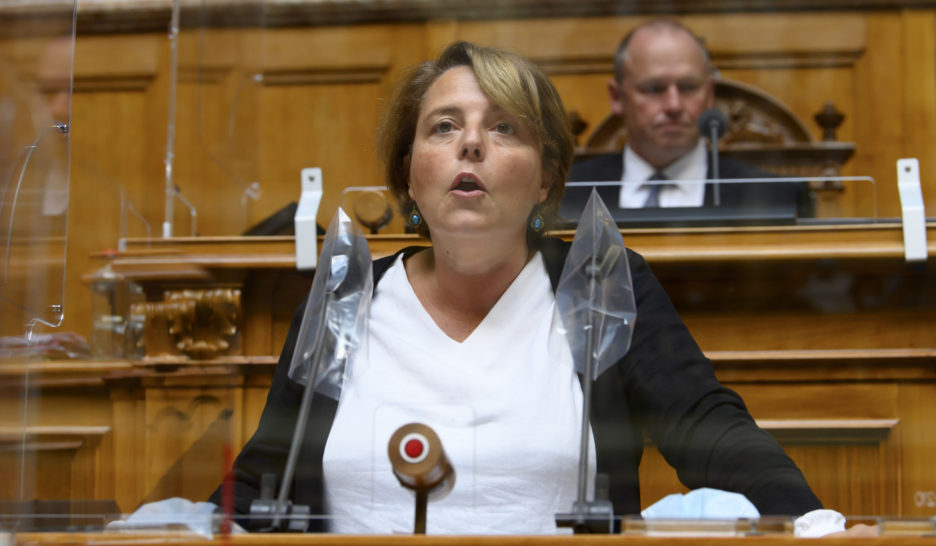 Le congé maternité ne doit pas fermer la porte du Parlement