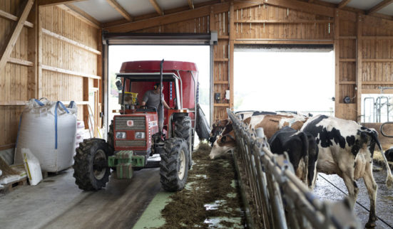 Le genre du capital en débat 1