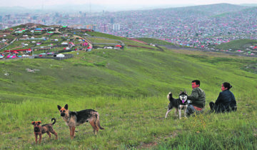 Le pape va en Mongolie