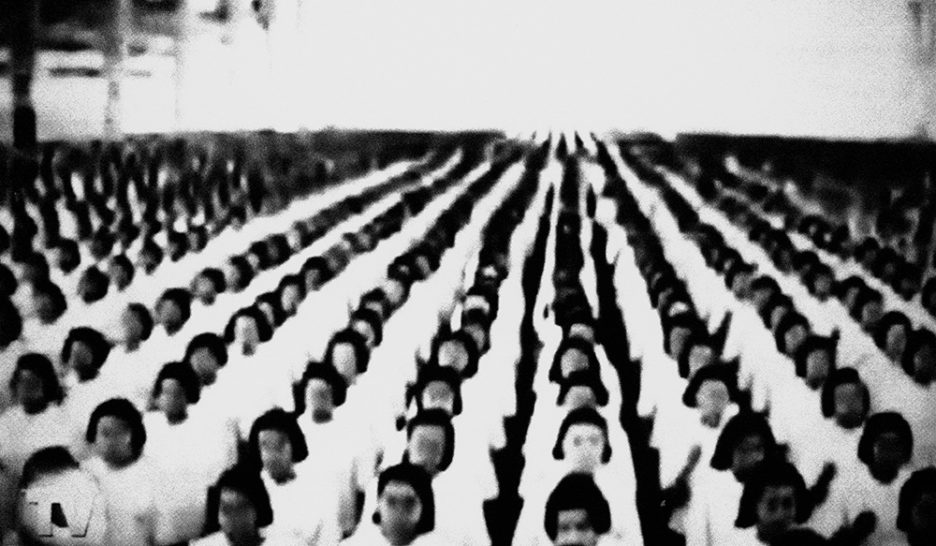 Massive phallocratie