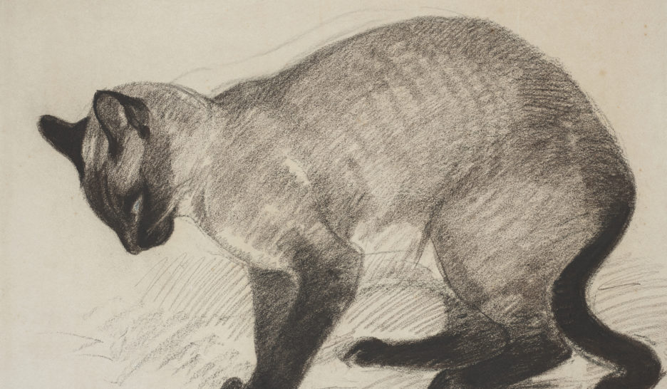 Défendre le chat et l’opprimé