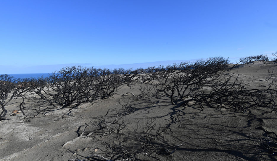 L’Australie vote sur les droits des Aborigènes, vers le «non»