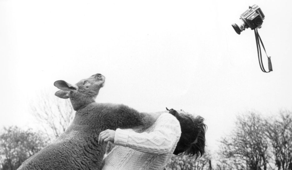 L’instant animal du Locle