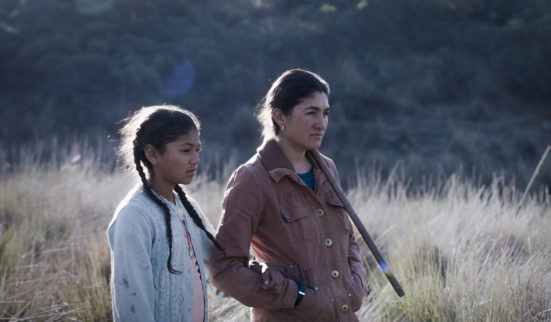 Cinéphile et militant