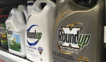 Le glyphosate encore autorisé pour 10 ans dans l’UE