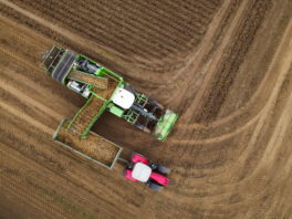 Principe de non-précaution