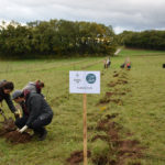 Planter des arbres: un nouveau modèle d’affaires
