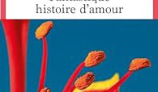 Amour et drogue dure