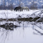Du Danube à Kaboul
