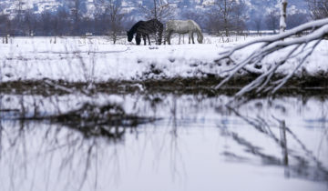 Du Danube à Kaboul