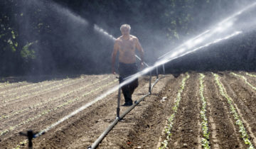 L’agriculture et la question de l’eau