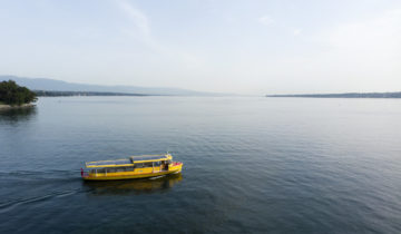 Les eaux du Léman n'ont jamais été aussi chaudes