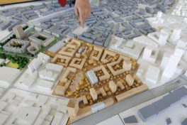 PAV ou prédation foncière?