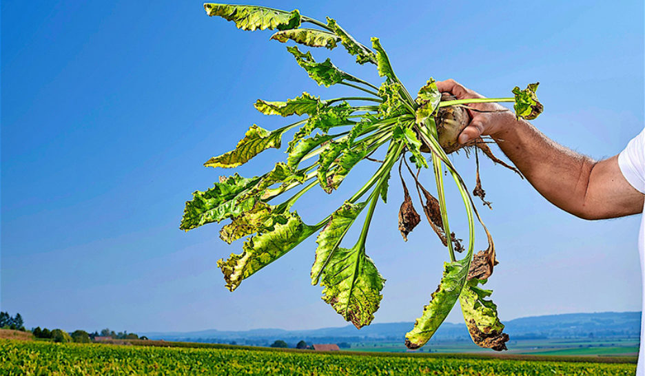 Un signal en faveur du lobby paysan