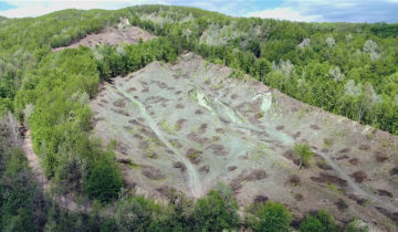 Ikea, cauchemar en forêt