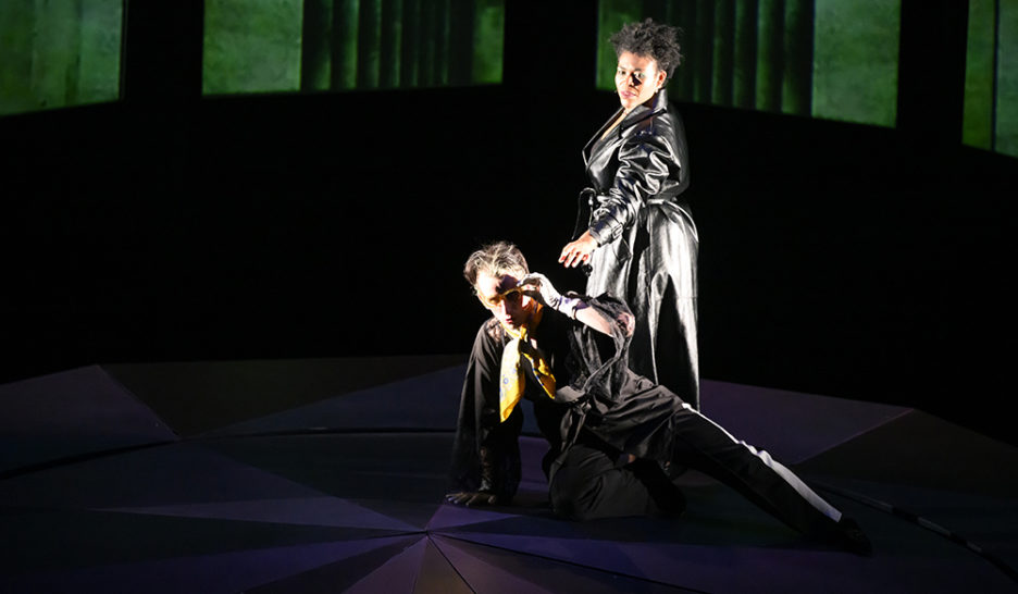 «L’Oiseau bleu» et la magicienne rose