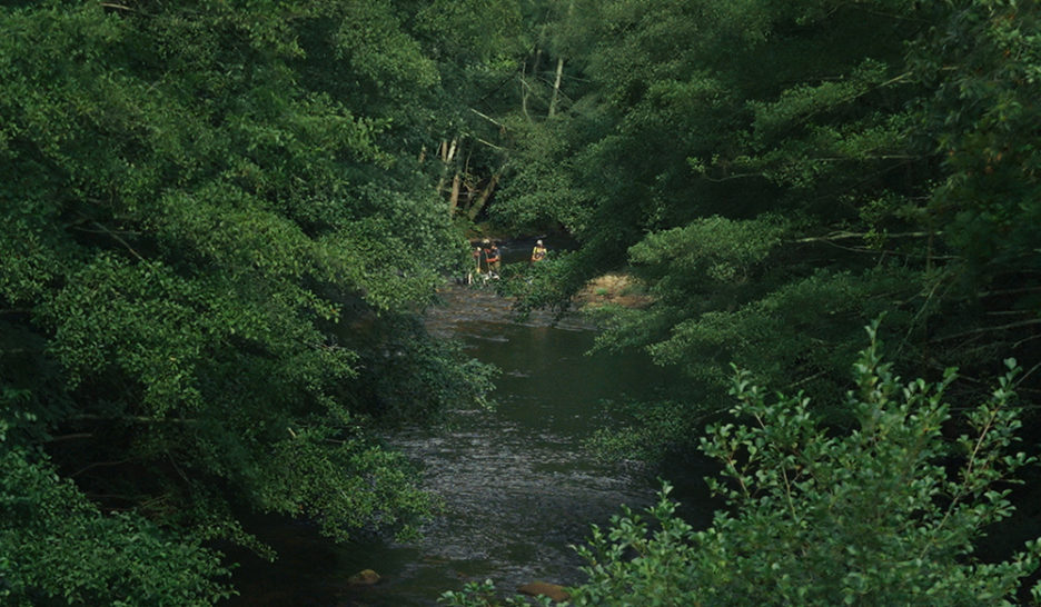 Ecologie au fil de l’eau