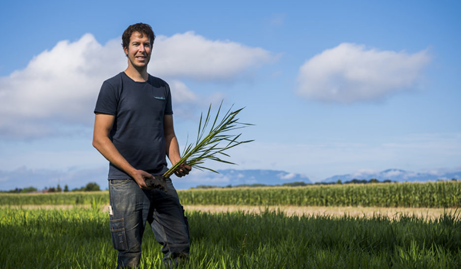 L’art de savoir s’adapter