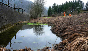 Des remparts pour la biodiversité