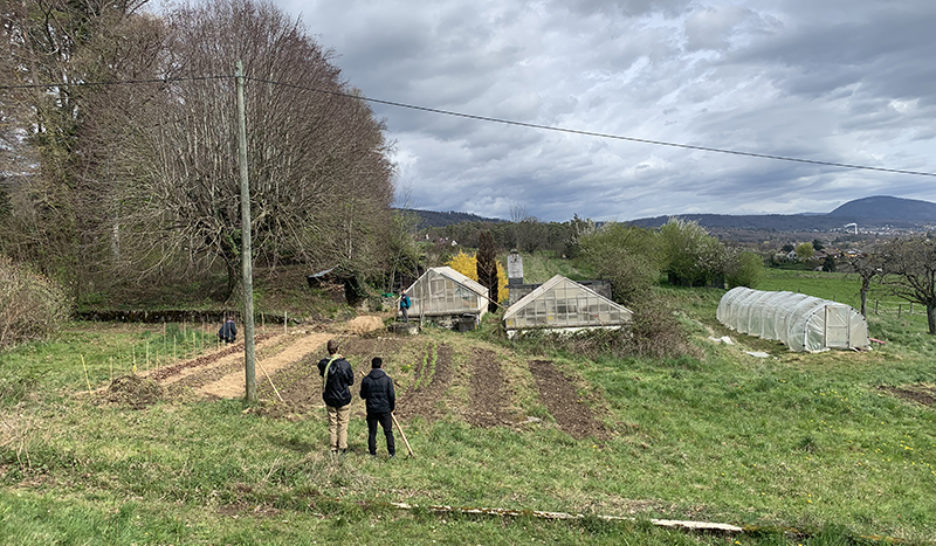 «Laissez-nous nous planter»