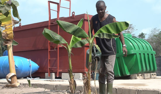 Les déchets agricoles, nouvel or vert en Côte d'Ivoire? 1