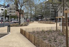 Piétons à la place des autos 1