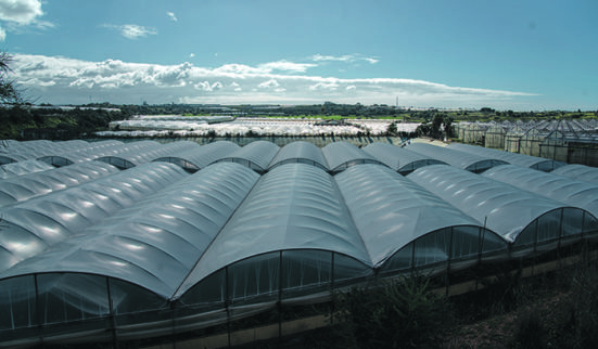 Sale business en terres siciliennes 1