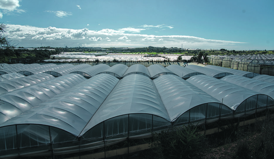 Sale business en terres siciliennes 1