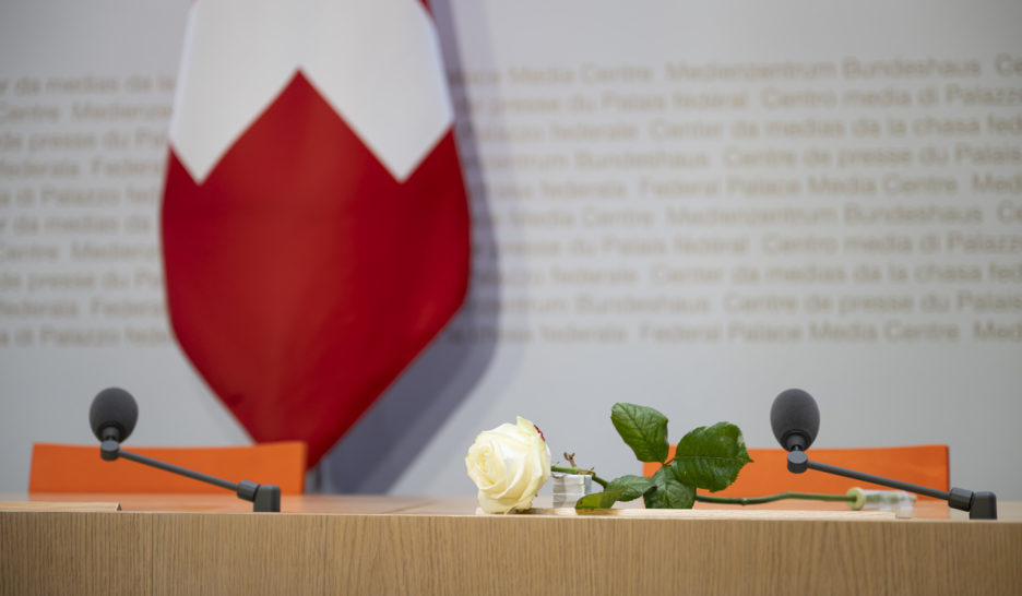 Une rose blanche pour hommage