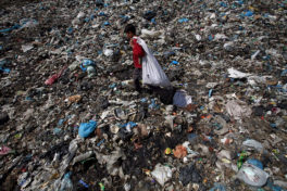 Priorités pacifistes