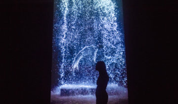 Bill Viola, l’image s’est arrêtée