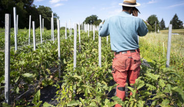 L’agriculture bio, un rempart contre l’extrême droite?