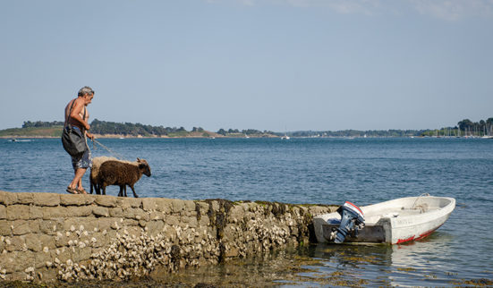 Le berger des îles 1