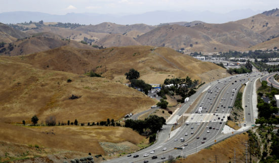 Un pont de verdure pour les pumas 1