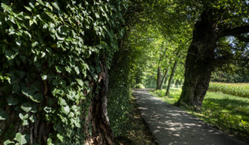 Reconnaissance pour le bocage 1