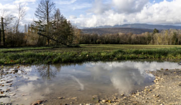 Décharge en vue près de la Versoix